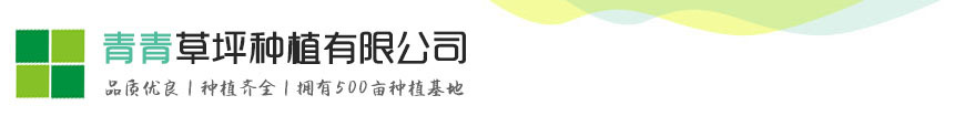 凯发国际平台注册